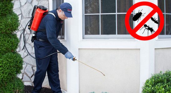 Köyceğiz Dezenfeksiyon böcek ilaçlama ve haşere kontrolü — ilaclama-tr.com